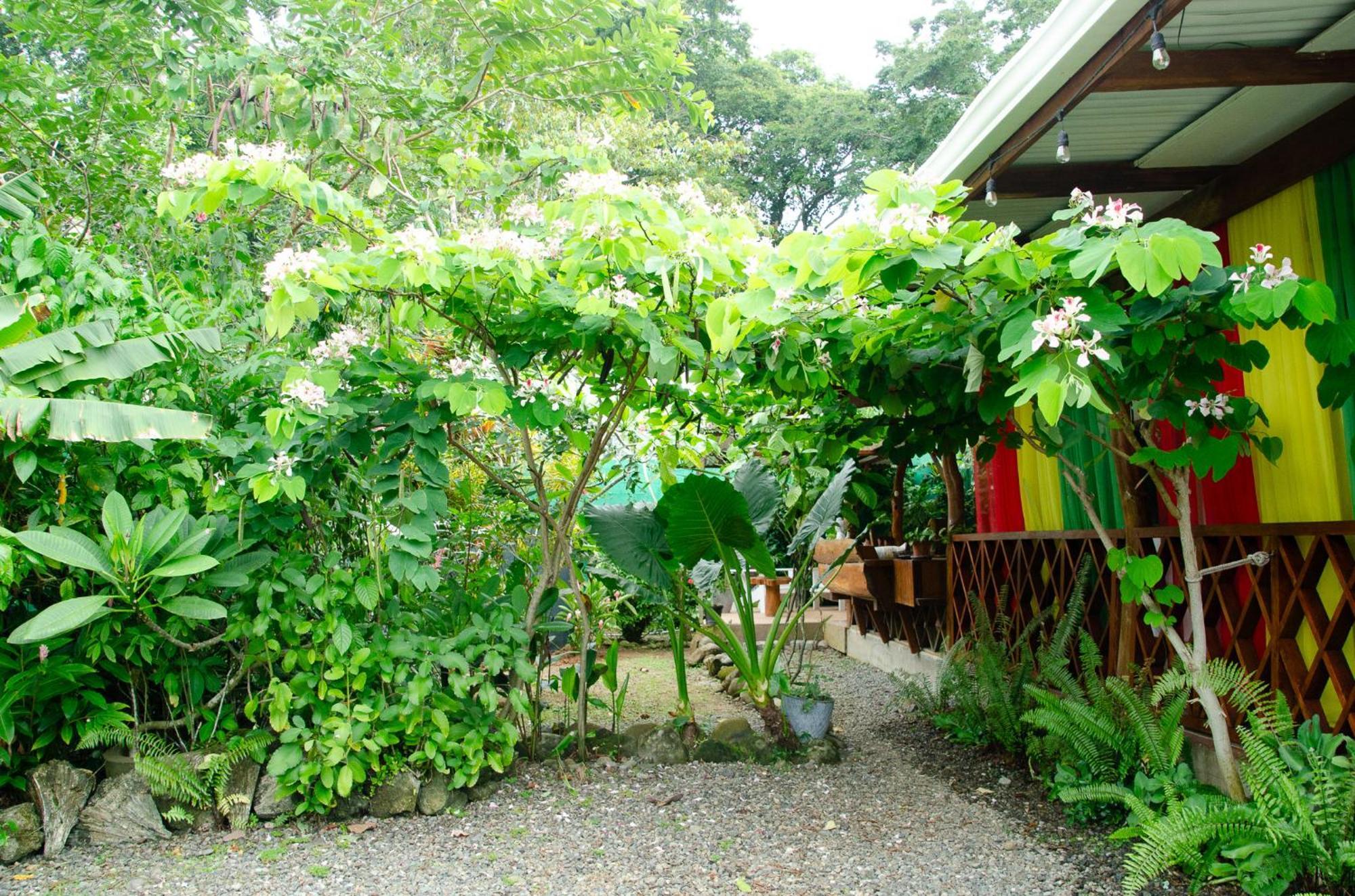 Colibri Ecolodge 3 Minutes Walk To Beach And Town Puerto Viejo de Talamanca Luaran gambar